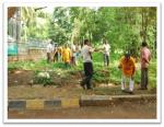 DETAILS OF PLANTATION DONE UNDER SWACCH BHARAT ABHIYAN AT STATE OFFICE/MDTC, BANGALORE. DETAILS OF PLANTATION DONE UNDER SWACCH BHARAT ABHIYAN AT STATE OFFICE/MDTC, BANGALORE.