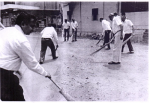 Swachhta Pakhwara, MSME-DI SOLAN - 13 Swachhta Pakhwara, MSME-DI SOLAN - image 13