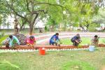 MASSIVE PLANTATION BY EMPLOYEES AT NI-MSME CAMPUS, 18th june 2018 MASSIVE PLANTATION BY EMPLOYEES AT NI-MSME CAMPUS, 18th june 2018