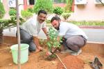 Plantation at opposite to New Training Building, 18th june 2018 Plantation at opposite to New Training Building, 18th june 2018