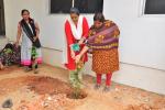Plantation at Prerana Building (LBI Centre), 18th june 2018 Plantation at Prerana Building (LBI Centre), 18th june 2018