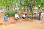 Plantation at electric sub-station in ni-msme campus, 18th june 2018 Plantation at electric sub-station in ni-msme campus, 18th june 2018