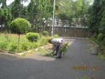 Swachhta Action Plan, Activities undertaken by Coir Board - 9 Swachhta Action Plan, Activities undertaken by Coir Board image 9