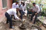 Cleanliness drives by Officeal of M/o MSME at Udyog Bhawan gate no. 8 Cleanliness drives by Officeal of M/o MSME at Udyog Bhawan gate no. 8