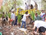 5th Day Removal of debris wherever available in the campus on 05/05/2016 5th Day Removal of debris wherever available in the campus on 05/05/2016