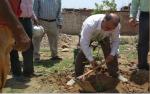 Swatch Bharat Pakhwara of MSME-DI, Solan, June 2018 image 7