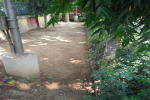 Cleaning activity by office staff at 03/12/17 (Varanasi) Cleaning activity by office staff at 03/12/17 (Varanasi)