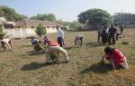 Day 2, Cleanliness Drives at MGIRI (south campus) Day 2, Day 1, Cleanliness Drives at MGIRI (south campus)