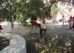 Day 4, Cleanliness Drives at MGIRI (south campus) Day 4, Cleanliness Drives at MGIRI (south campus)