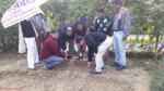 Plantation done at CFC Plantation done at CFC