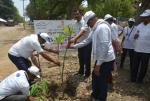 Plantation by officials of NSIC and MSME-DI Allahabad Plantation by officials of NSIC and MSME-DI Allahabad