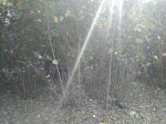 Before Cleaning Drive on 01/12/2017 Before Cleaning Drive on 01/12/2017