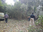 Glimpse of Cleaning Drive Activities on 02/12/2017 Glimpse of Cleaning Drive Activities on 02/12/2017