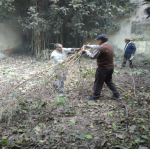 Cleaning Drive Activities on 06/12/2017 Cleaning Drive Activities on 06/12/2017