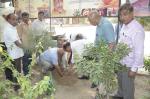 Plantation event at premises of New Delhi office. Plantation event at premises of New Delhi office.